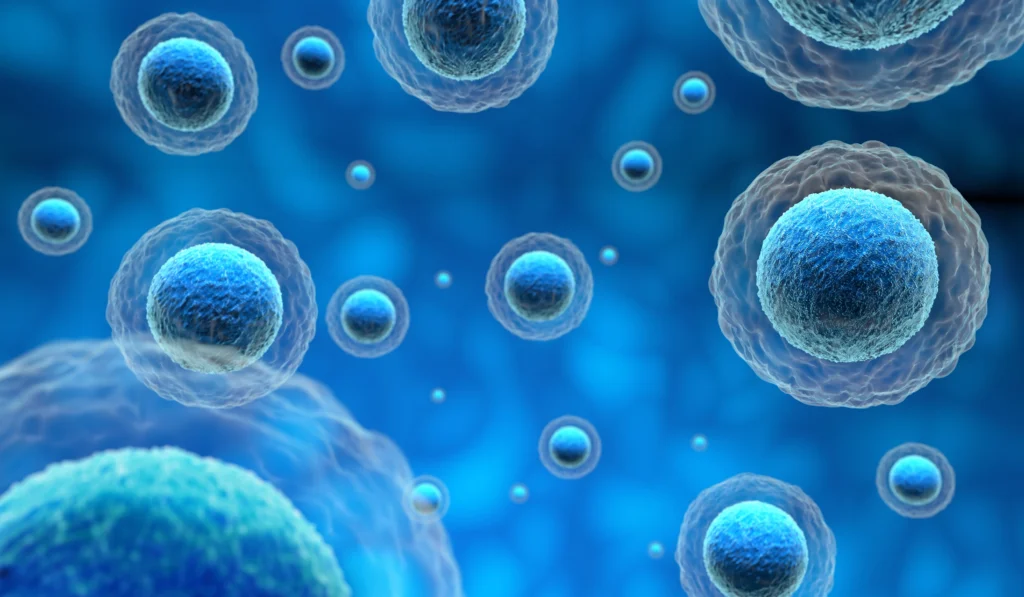 future of regenerative medicine