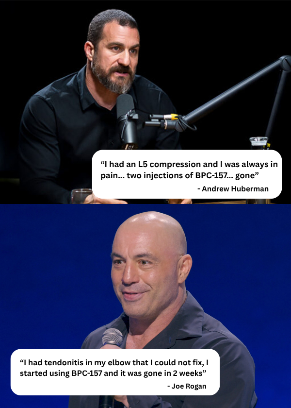 Joe rogan andrew huberman